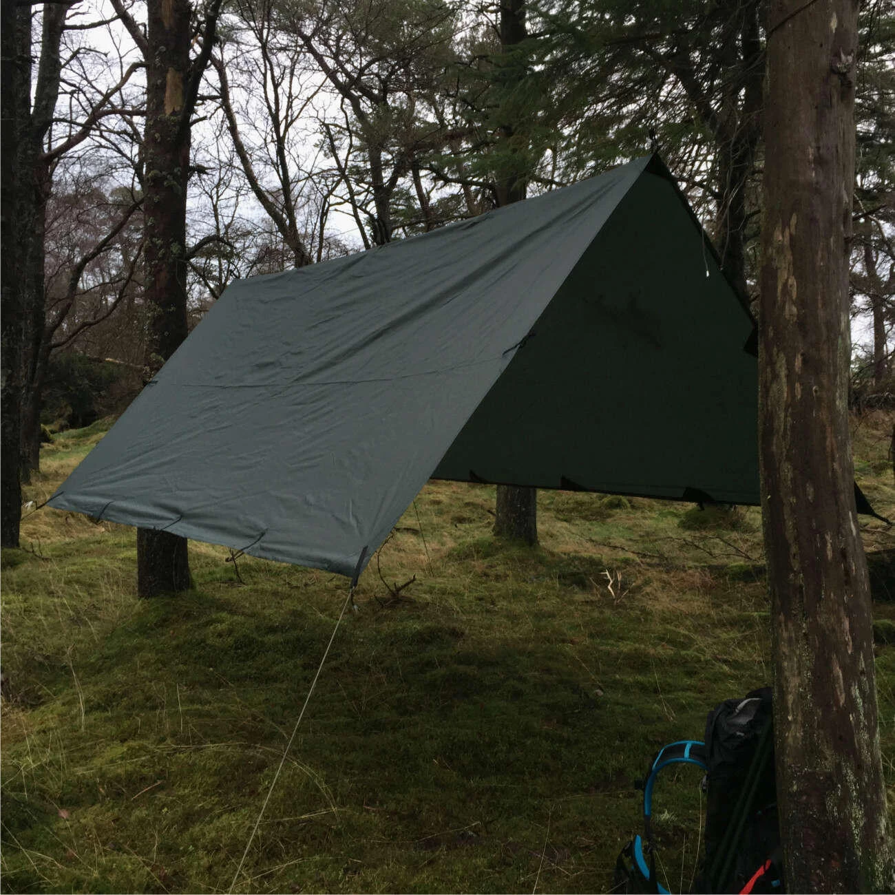 Lomo 4.5m X 4.5m Bushcraft Tarp - Image 4