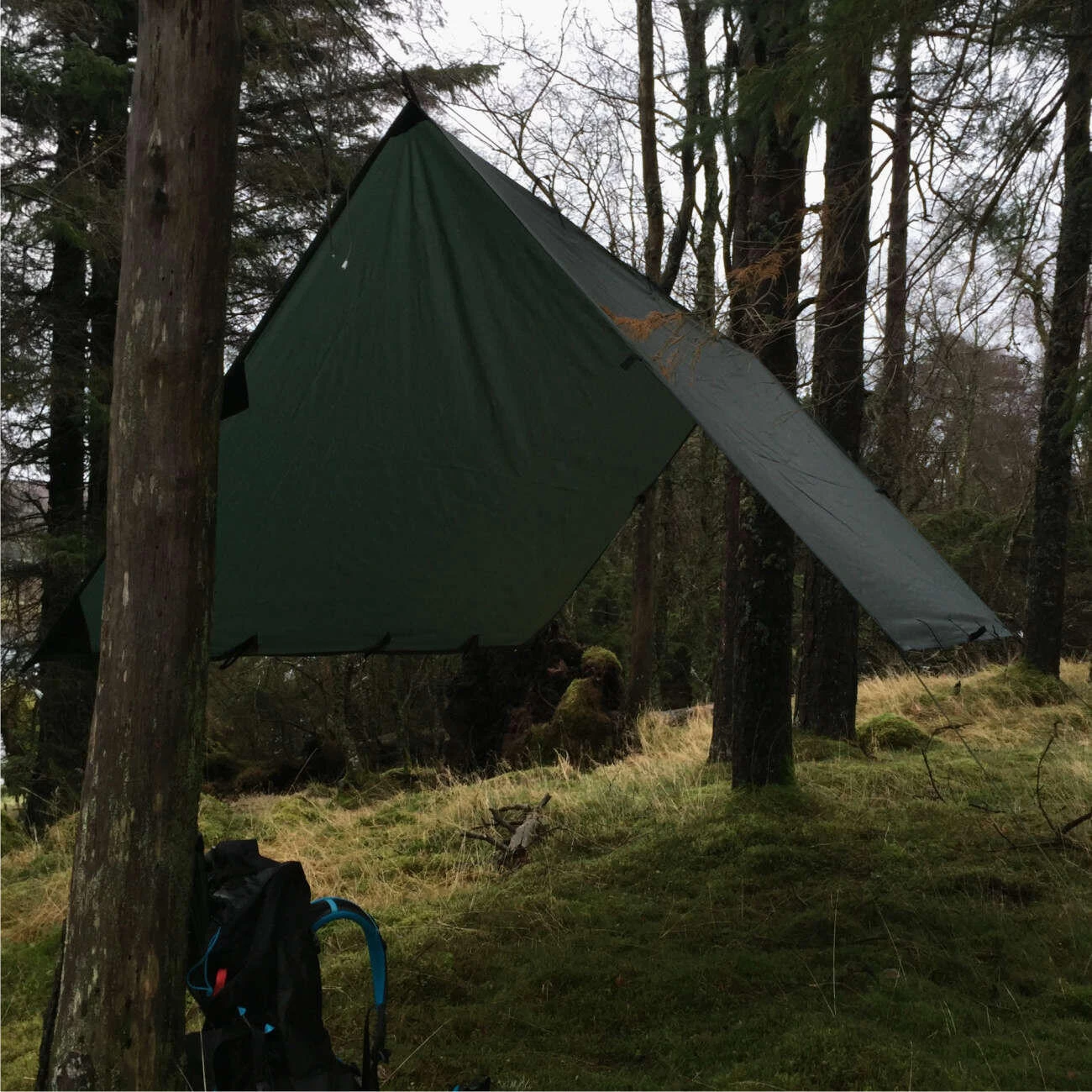 Lomo 5m X 5m Bushcraft Tarp - Image 4